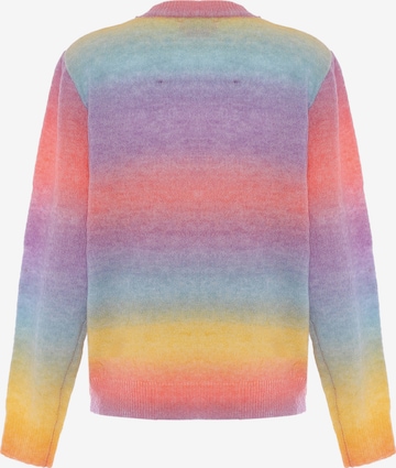 swirly Sweater in Mixed colors