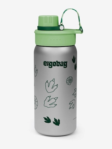 ergobag Trinkflasche 'Trinkflasche Edelstahl Trinkflasche' in Grün: Vorderseite