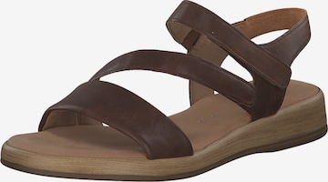 GABOR Strap Sandals 'Comfort' in Brown: front