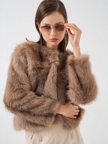 Bigdart Übergangsjacke in Braun