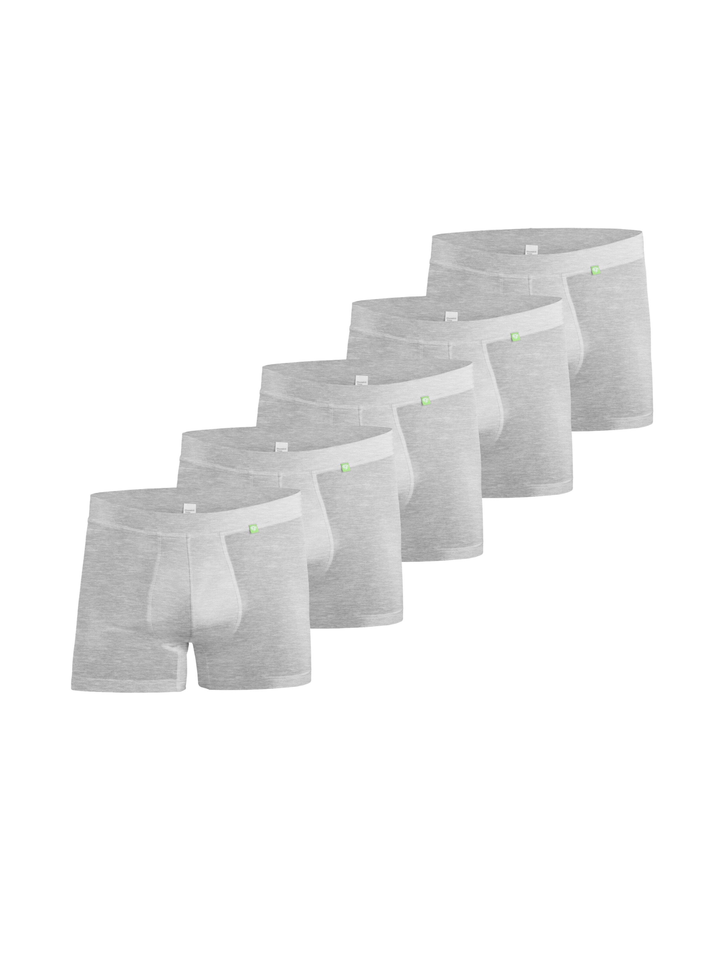 kleiderhelden Boxer shorts 'Beatbux 5er' in Grey, Item view