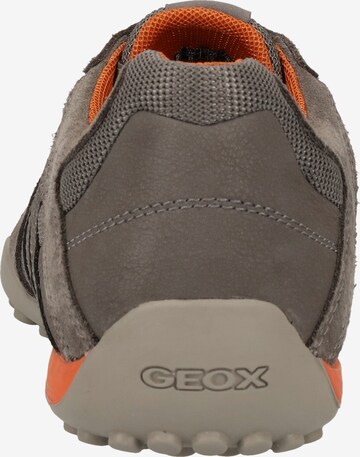 Sneaker bassa 'Uomo Snake' di GEOX in grigio