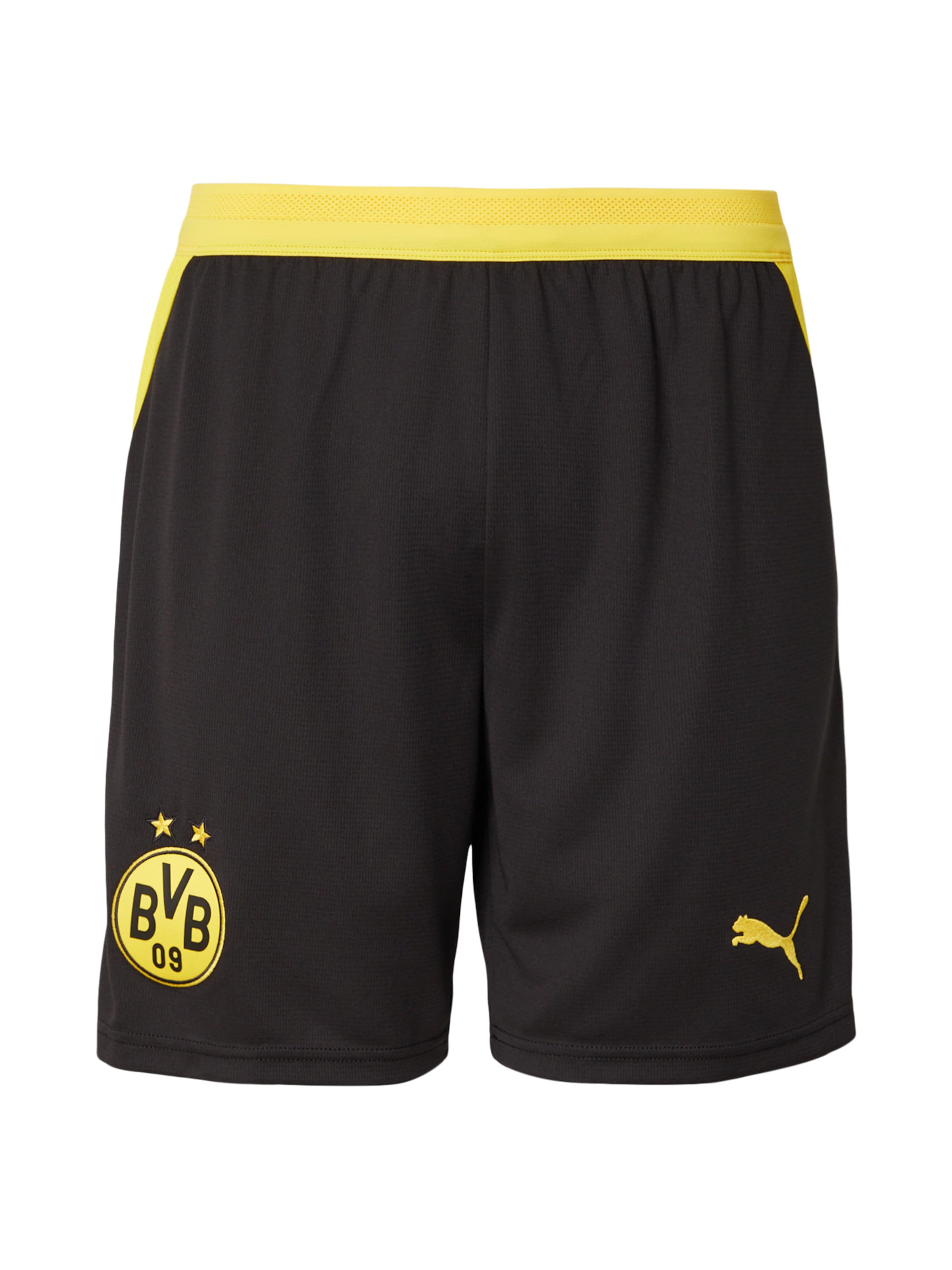 Regular Pantalon de sport 'BVB' PUMA en noir : devant