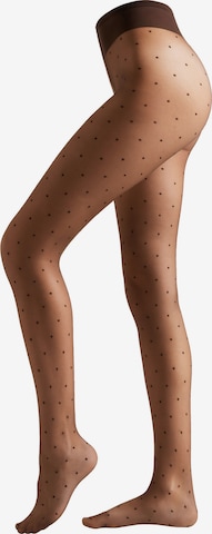 CALZEDONIA Feinstrumpfhose in Grau: Vorderseite