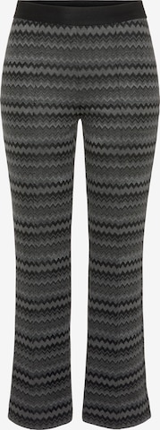 STEHMANN Flared Pants in Grey: front