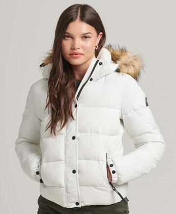 Superdry Winter Jacket in White: front