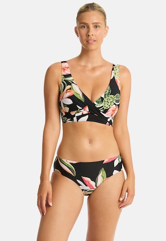 SEA LEVEL Triangel Bikinitop 'Sundown' in Schwarz