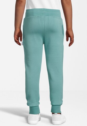 New Life Tapered Pants in Blue