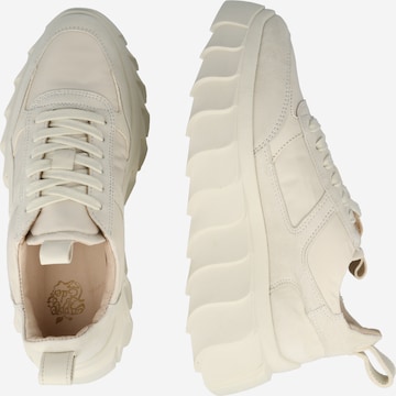 Apple of Eden Sneakers 'Blair' in White