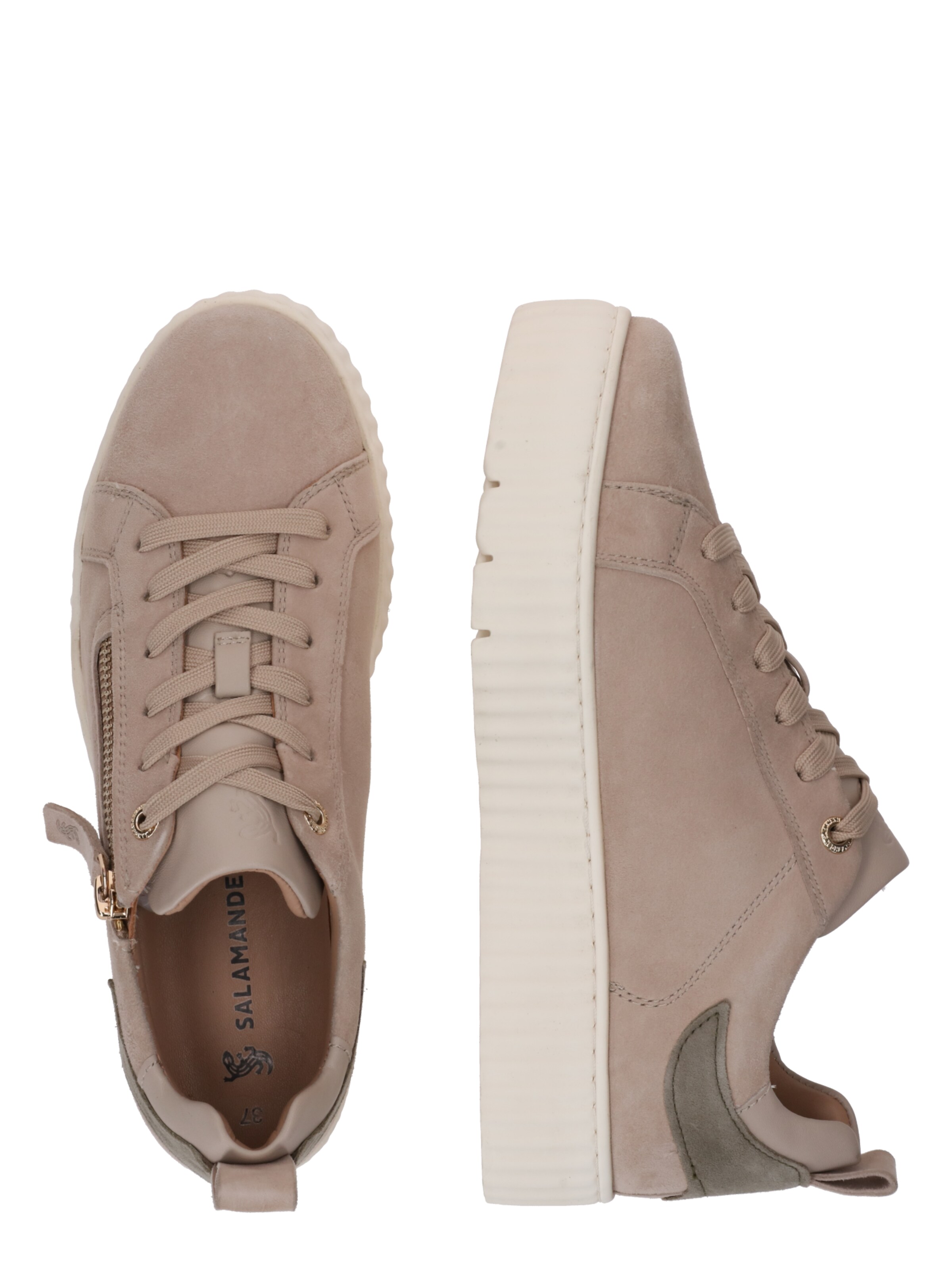 SALAMANDER Низкие кроссовки в Серый