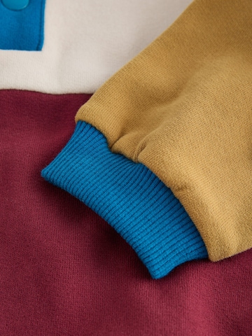 Next Trui in Gemengde kleuren