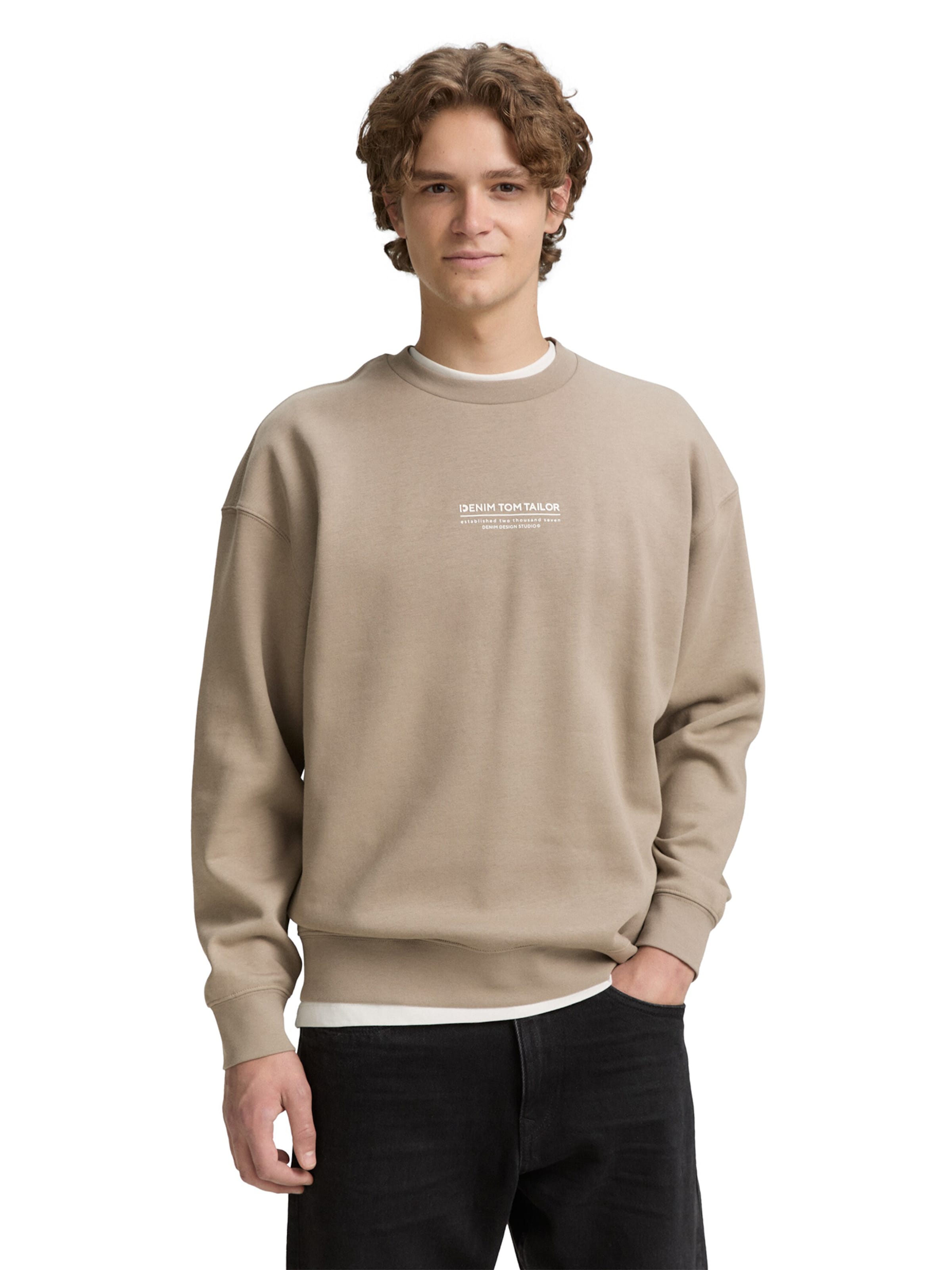 TOM TAILOR DENIM Sweatshirt in Brown: front