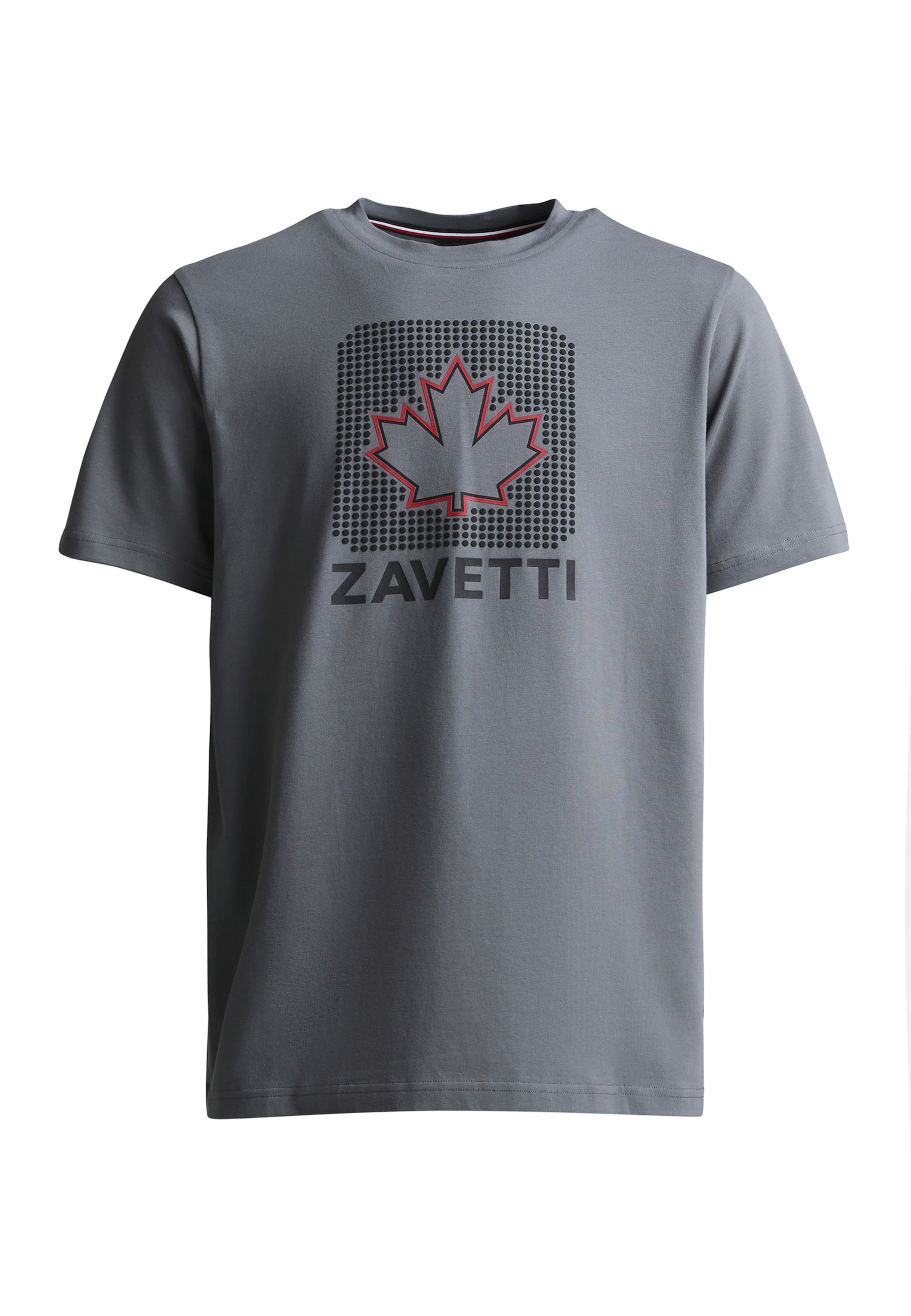 T-Shirt 'Alvo' Zavetti Canada en gris : devant
