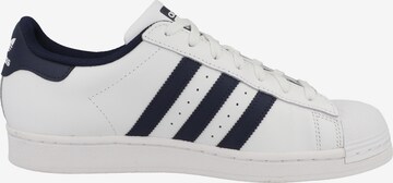 ADIDAS ORIGINALS Sneakers 'Superstar' in White