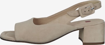 Högl Slingback Pumps in Grey