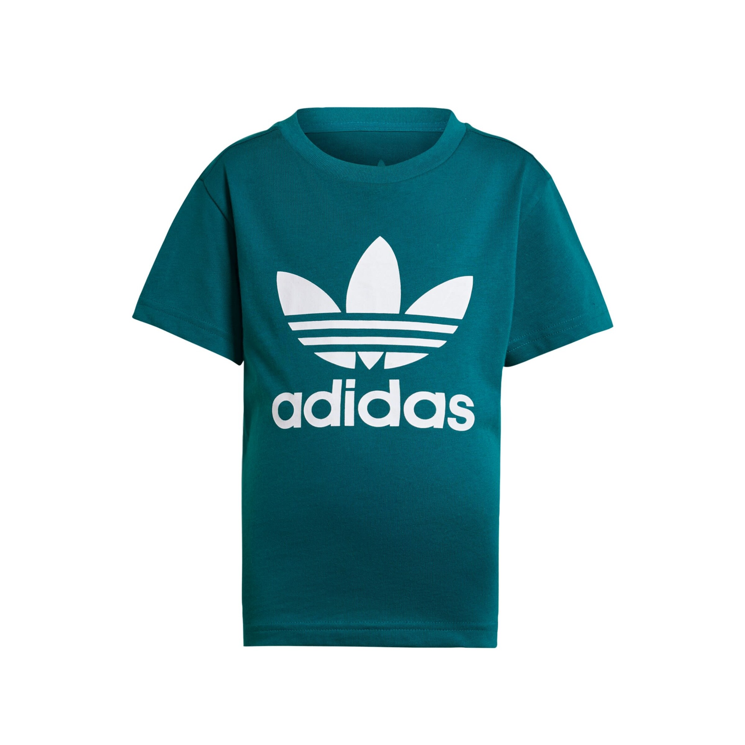 T-Shirt 'Adicolor Trefoil' ADIDAS ORIGINALS en vert : devant