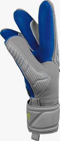 REUSCH Torwarthandschuh 'Attrakt Grip Evolution' in Grau