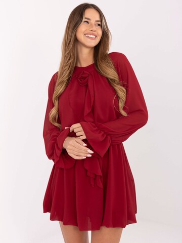 Madnezz House Dress in Red: front