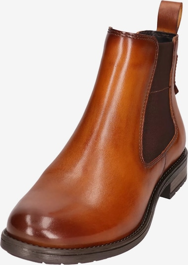 TT. BAGATT Chelsea Boots in cognac, Produktansicht