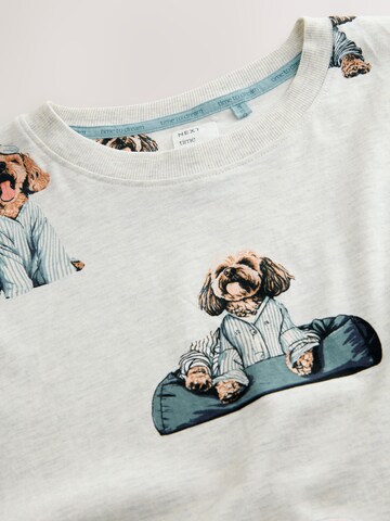 pilka Next Naktinukai