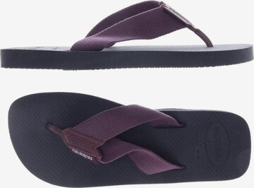 HAVAIANAS Sandals & Slippers in 39 in Purple: front