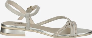 Nero Giardini Strap Sandals in Silver