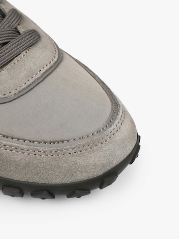 Scalpers Sneaker 'Dach' in Grau