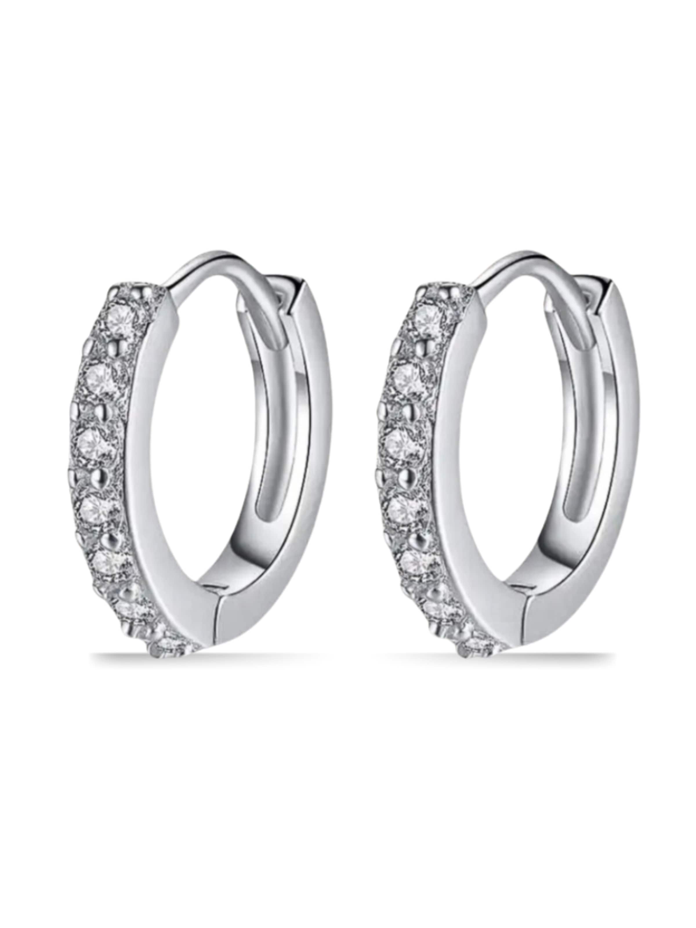 Pure Schmuck Earrings 'Brilliant' in Silver: front