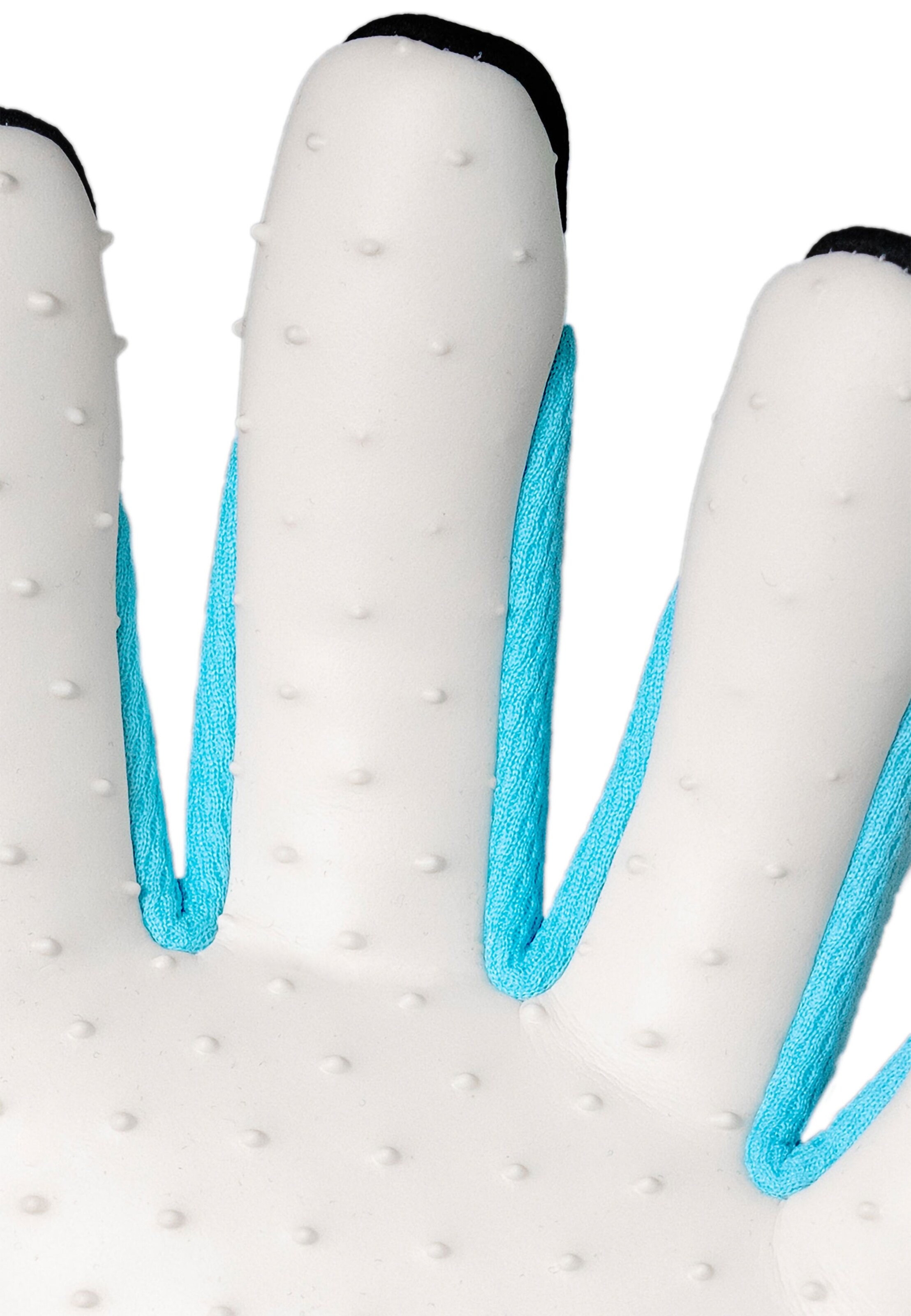 REUSCH Torwarthandschuhe 'Attrakt Freegel SpeedBump Strapless' in Blau