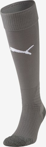 PUMA Soccer Socks 'Team' in Grey: front