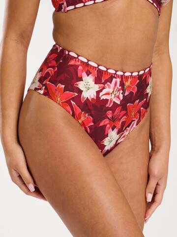 South Beach Triangel Bikini in Rood