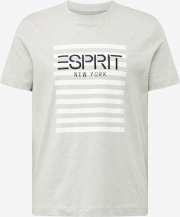 T-Shirt ESPRIT en gris : devant