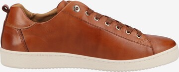 SALAMANDER Sneakers in Brown