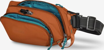 Pacsafe Gürteltasche 'Pacsafe Eco' in Orange