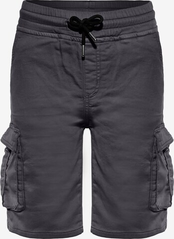 BLUE EFFECT Regular Shorts in Grau: predná strana