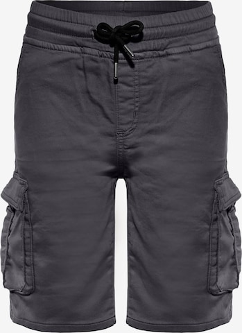 BLUE EFFECT Regular Shorts in Grau: predná strana