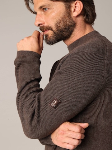 Deeluxe Pullover 'Cheston' in Braun