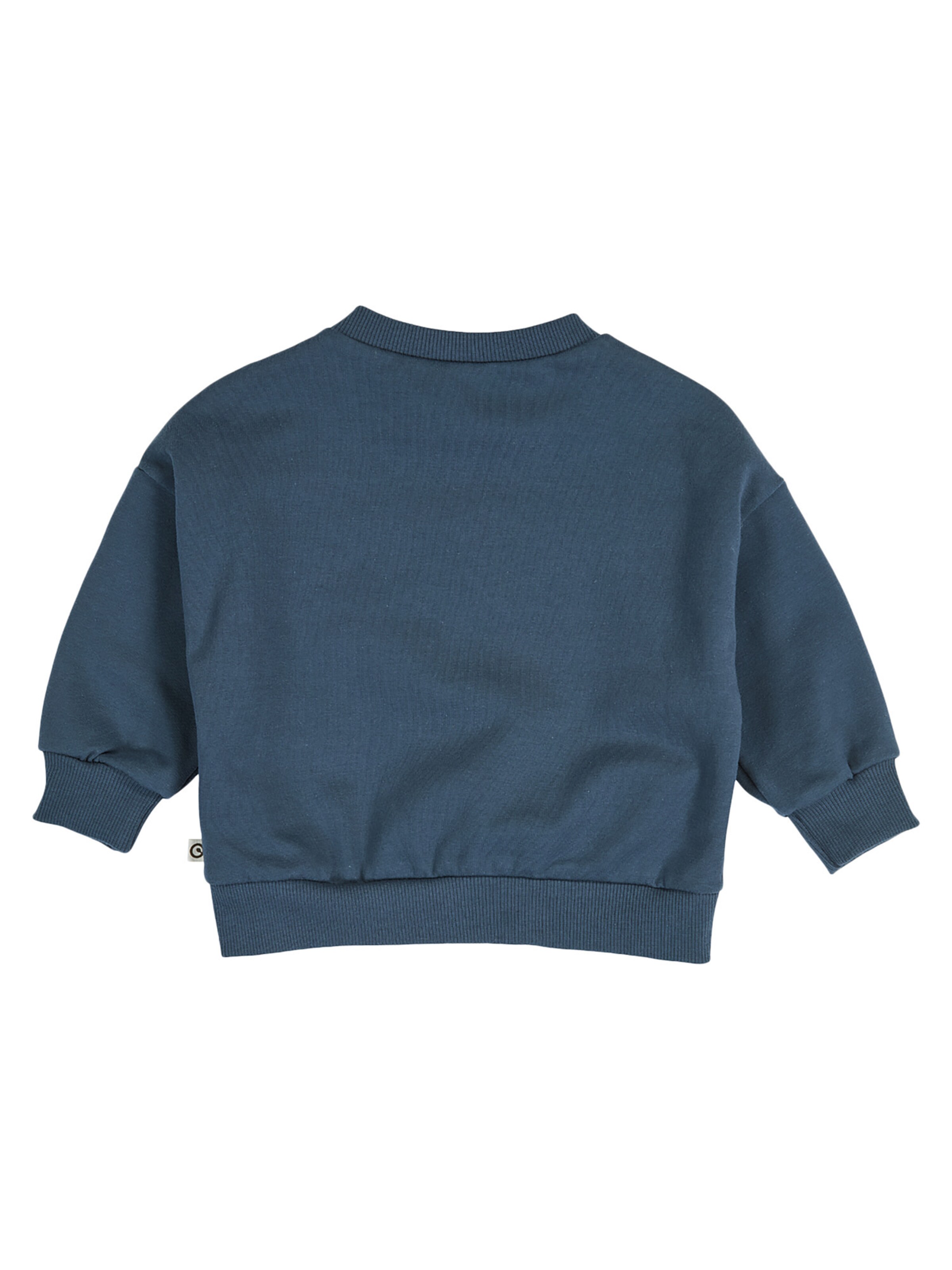 Sweat Müsli by GREEN COTTON en bleu
