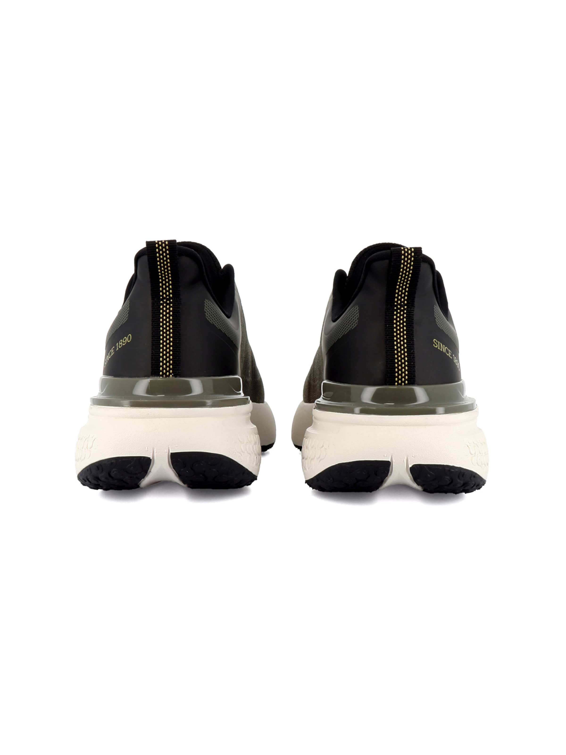 US POLO ASSN. Sneaker 'Spritz' in Grün