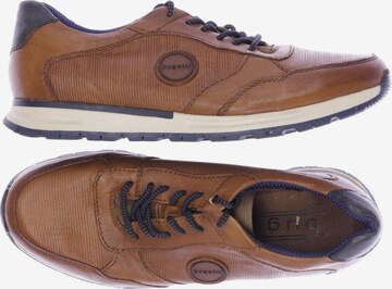 bugatti Sneakers & Trainers in 42 in Brown: front