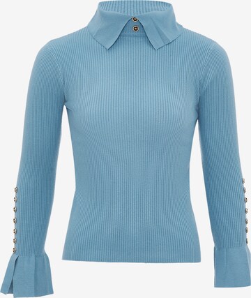 leo selection Sweater in Blue: front