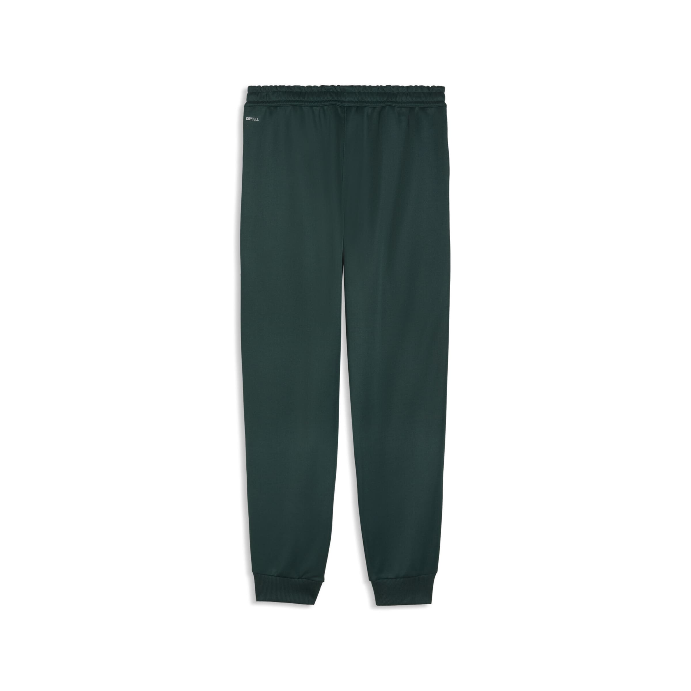 PUMA Tapered Sportbroek 'Manchester City KING Anthem' in Groen