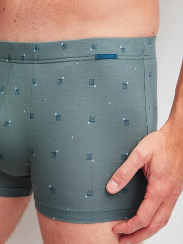 CALIDA Boxer shorts 'Grafic Cotton' in Grey