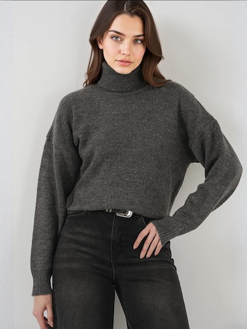 Bigdart Trui in Grijs