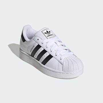 Baskets ' Superstar II' ADIDAS ORIGINALS en blanc