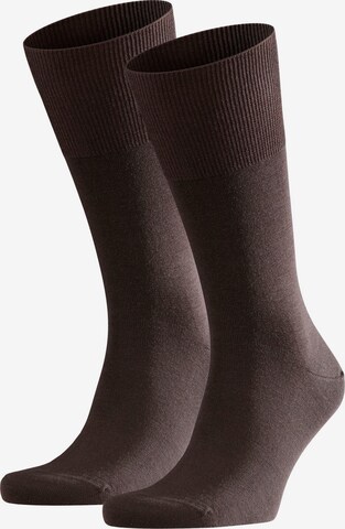 FALKE Socks in Brown: front