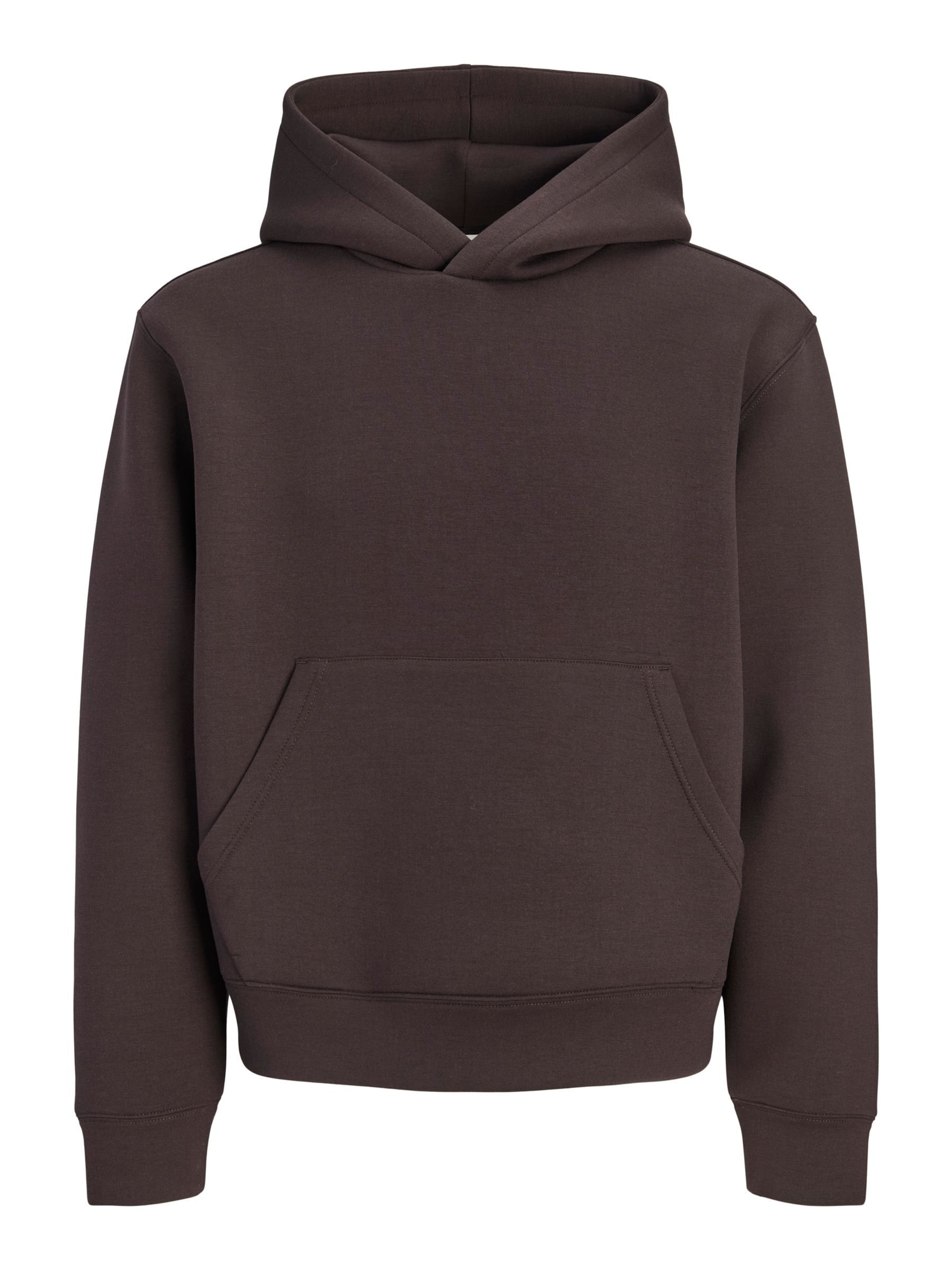 JACK & JONES Sweatshirt in Brown: front
