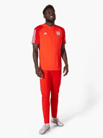 FC BAYERN MÜNCHEN Regular Pants 'Teamline' in Red