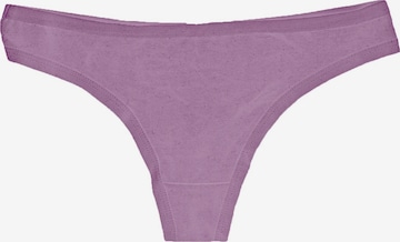 String 'BASIC MAX String Tanga 5er Pack' Maxte en violet : devant
