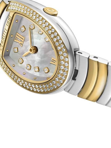 CERRUTI 1881 Analoog horloge 'Watch LERICI' in Goud